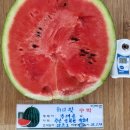주당도가 이미지