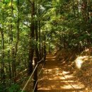 저지오름주차장 이미지