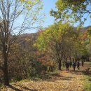 공원관리사무소 이미지