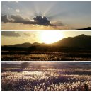 문막체육공원길 이미지