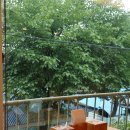 태을봉쭈꾸미&누룽지백숙 | 원조 불쭈파 파는 반월호수 맛집 태을봉 쭈꾸미&amp;누룽지백숙