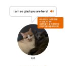 신전당구장 이미지