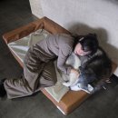 월차 | 첫 월차 후기 - 대전 빵투어 하기