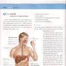 암의 진실 30 - 소화기계 1 이미지