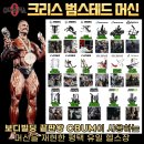 라이트존 | 평택역 헬스장 라이트짐 일일권 후기