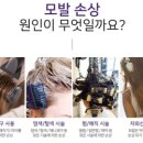 더 힐링스 이미지