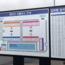 딤섬9898 이미지