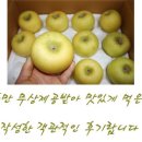 쭈니푸드 이미지