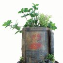 용전1로 이미지