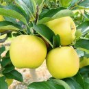 금계농장2 이미지