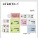 우성농원 | [양재꽃시장/양재동화훼공판장] 대형 화분 구매, 배송 후기