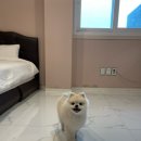 베러플레이스 키즈 풀빌라 이미지