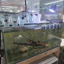 금성수족관 이미지