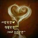 여유 Daum카페