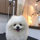 덕이 미장원 이미지