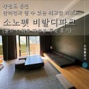 워킹펫 | 홍천 소노펫 골드 스위트 파크뷰 투숙 후기 및 부대시설 소개