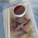주문진항#20 | [강릉 맛집] 주문진항샵20 | 내돈내산 후기 | 6번만에 전화 예약 성공 | 위치 주차 영업시간 | 자연산...