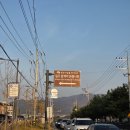 은행 | 원주 반계리 은행나무 솔직후기 (주차, CCTV, 화장실 등)