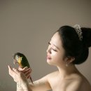 석스튜디오 이미지