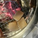 대구반야월막창 | 속초 막창맛집 오도독살 추천&#34;대구반야월막창집&#34; 솔직 후기