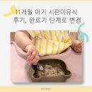 11개월 아기 이유식 시판이유식 로하스밀 후기, 완료기 단계로 넘어간 이유