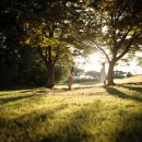 방배로26길 71 이미지