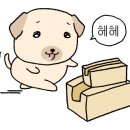 충무여자중학교 이미지