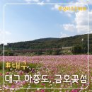 만평역(지상철3호선) | 대구 가볼 만한 곳 하중도 금호꽃섬, 정원박람회 후기(버스 타고 다녀온 후기)