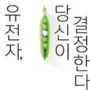 책』﻿유전자, 당신이 결정한다 이미지