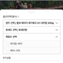 휴먼빈스