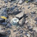 철원초등학교 이미지