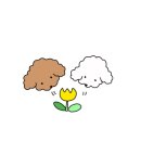 브라운도트 성당못점 이미지