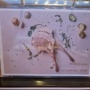 남사고기 이미지