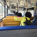 여주한글시장오일장 | 여주 오일장 먹거리 포장 겸 볼거리 구경하고 온 날
