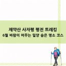 하늘정원펜션 | 6월등산추천 재약산 사자평 평전 트레킹 6월 바람이 머무는 밀양 숨은 명소 코스