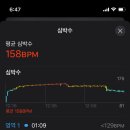 토마트 네이버블로그