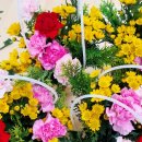 장림초등학교 병설유치원 이미지