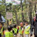 삼진어린이집 이미지