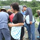 신영우농장 이미지