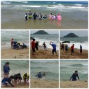 차유길 37 이미지