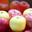 1억 송이 백일홍 세상…산소카페 청송정원 전종훈 기자 전종훈 기자 이미지