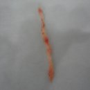 와이즈 동물병원 이미지