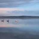 하늘행정사사무소 이미지