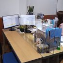 가좌4동행정복지센터 이미지