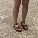 허쉬퍼피 이미지