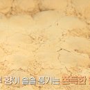 모란꽃떡