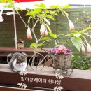 빈스 모터스 | &lt;한다맘의 글쓰기 슬럼프&gt;2018년 12월 21일 금요일의 일기