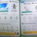 처음 시작하는 그림 | 6주 최종후기 - &lt;처음 시작하는 한자 따라 쓰기&gt;✨