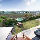 야자수 펜션 민박 이미지