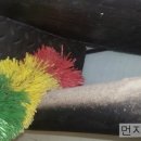 그린위생 Daum카페